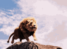 Gif animé lion rugit